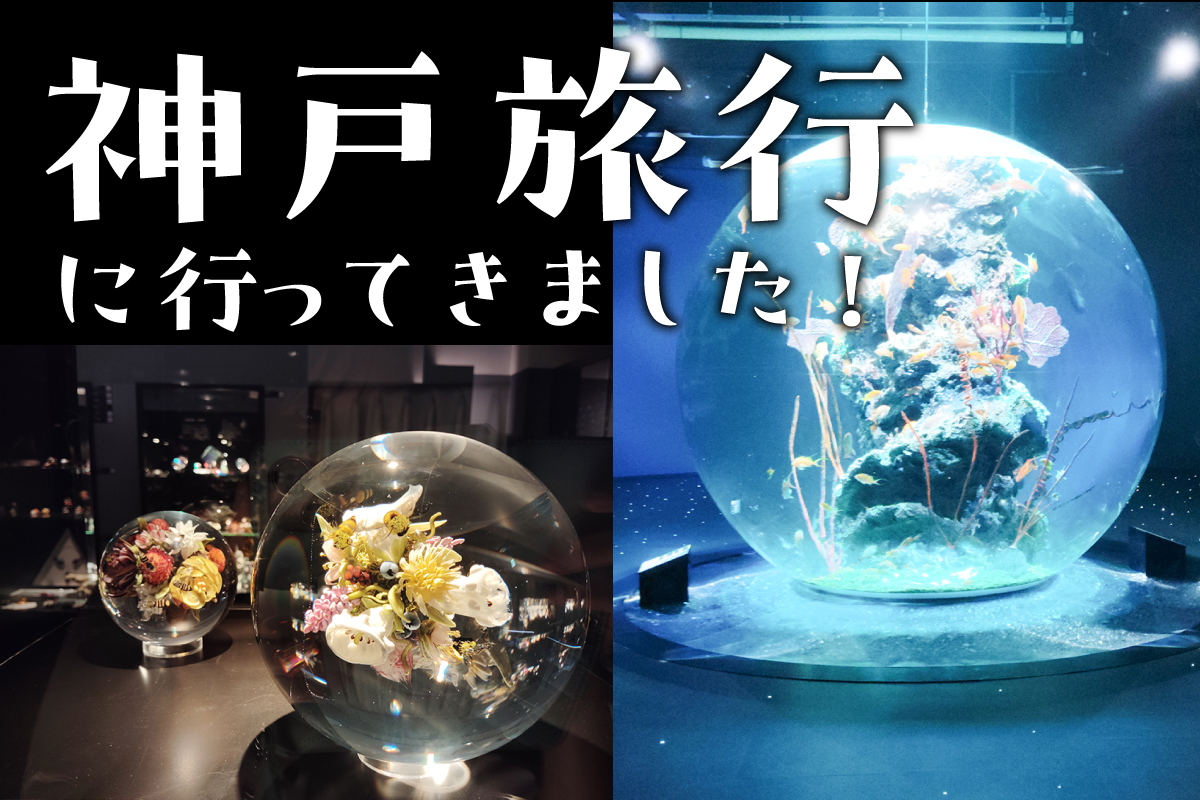 神戸旅行の画像